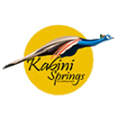 Kabini Springs Resort 