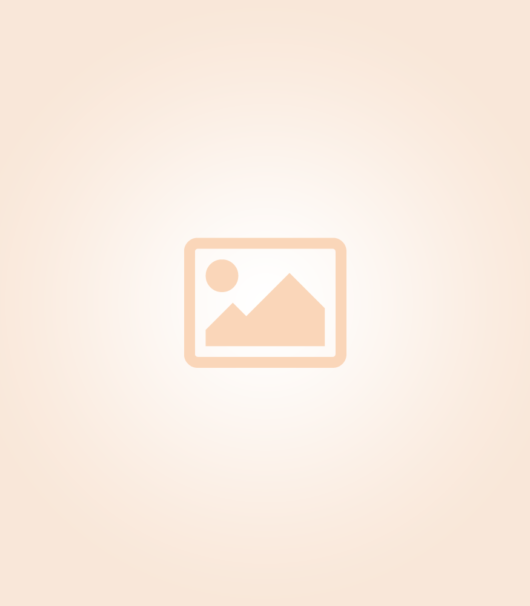 Image-Orange