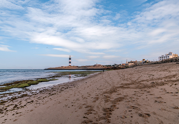 Seafront