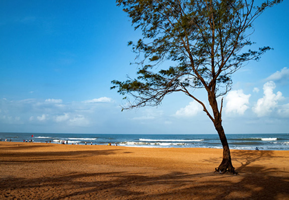 CALANGUTE BEACHES