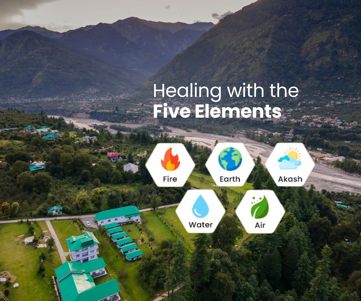 Healing with the Five Elements at Rishi Bhumi