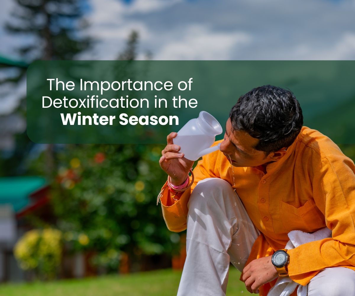 The Importance of Detoxification in the Winter Season
