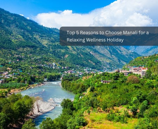Visit Manali for a Relaxing Wellness Holiday