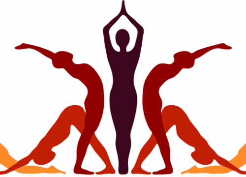 5 Reasons why it’s Never Too Late to Learn Yoga